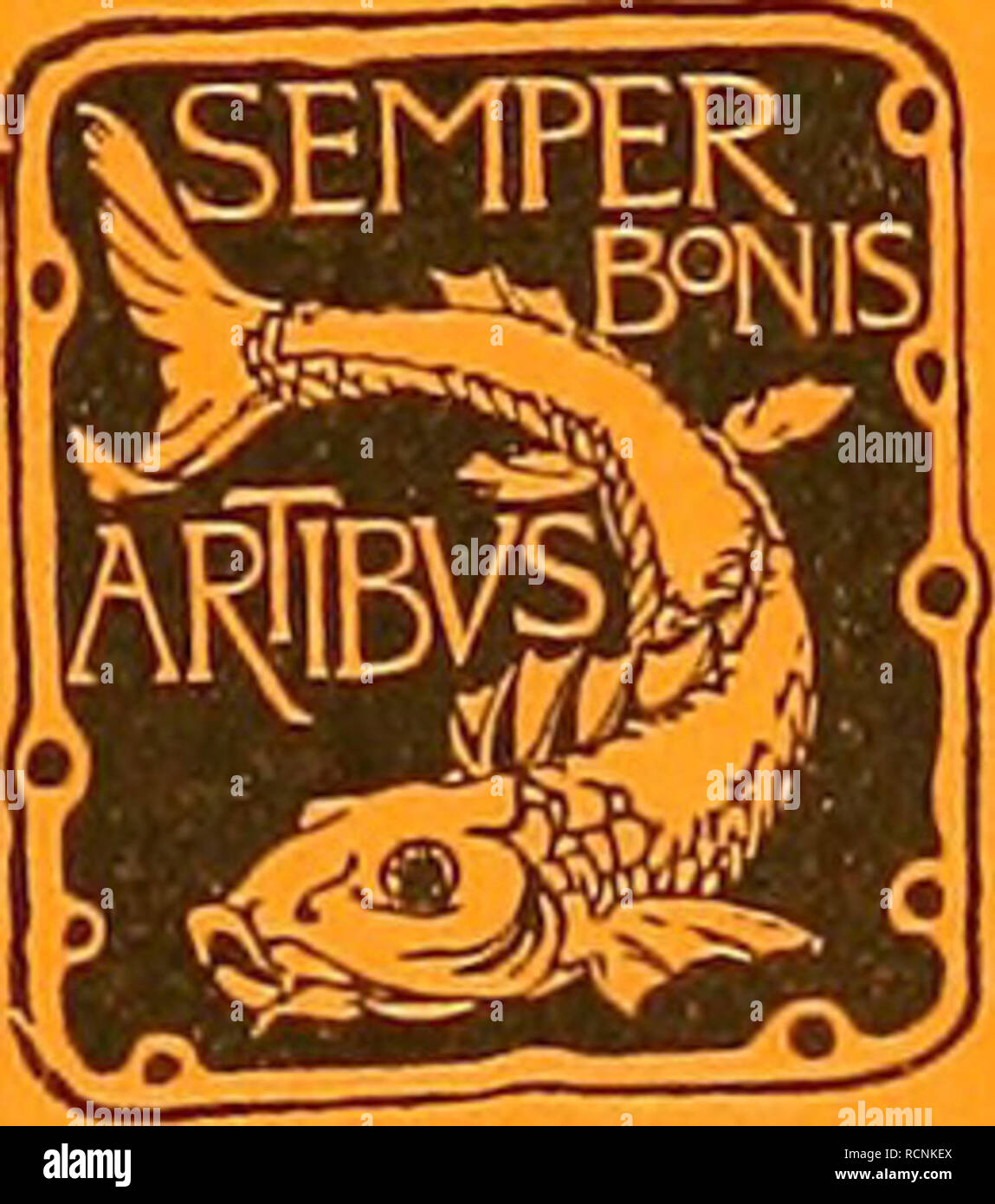 . Die Echinoiden der Deutschen tiefsee-spedizione. Echinodermata; Valdivia Expedition. WISSENSCHAFTLICHE ERGEBNISSE DER DEUTSCHEN TIEFSEE-EXPEDITION AUF DEM DAMPFER "VALDIVIA" 1898-1899 IM AUFTRAGE DES REICHSAMTES DES INNERN HERAUSGEGEBEN VON CARL CHUN PROFESSOR DER ZOOLOGIE IN LEIPZIG Leiter der expedition. Banda FÜNFTER ZWEITE LIEFERUNG DR- LUDWIG DÖDBRLEIN. Die Echinoiden der deutschen Tiefsee-Expedition. Mit 42 Tafeln und 46 Abbildungen im testo. TAFELN. JENA VERLAG VON GUSTAV FISCHER 1906 Preis für Text und Atlas: Für Abnehmer des ganzen Werkes: 82 Mark 50 Pf. für den Einzelverkauf: 10 Foto Stock