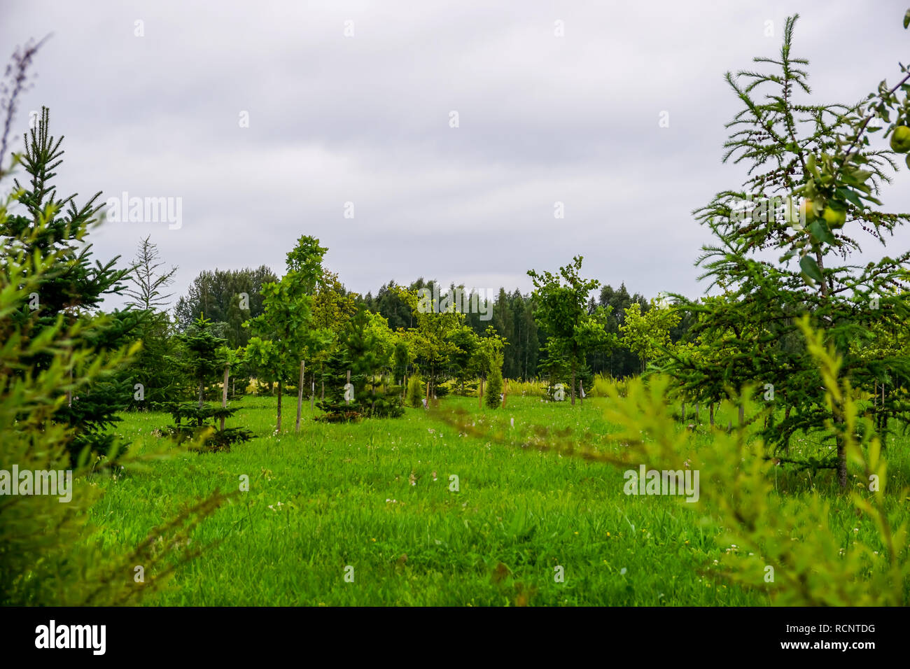 Giardino di destini è un monumentale complesso architettonico sull'isola Daugava nel Koknese. Giardino in Koknese parco giardino di destini in Lettonia. Foto Stock