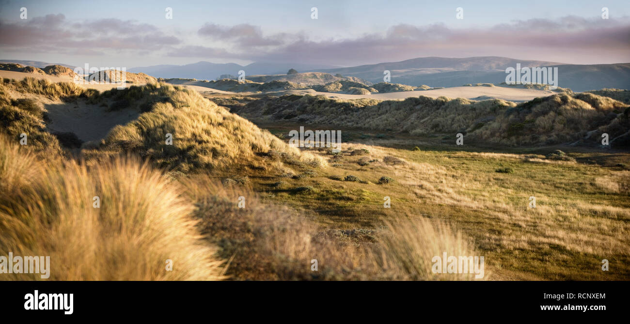 Grassy dune di sabbia su una spiaggia remota. Foto Stock