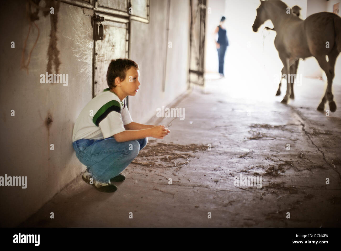 Ragazzo rannicchiato in un cavallo stabile. Foto Stock
