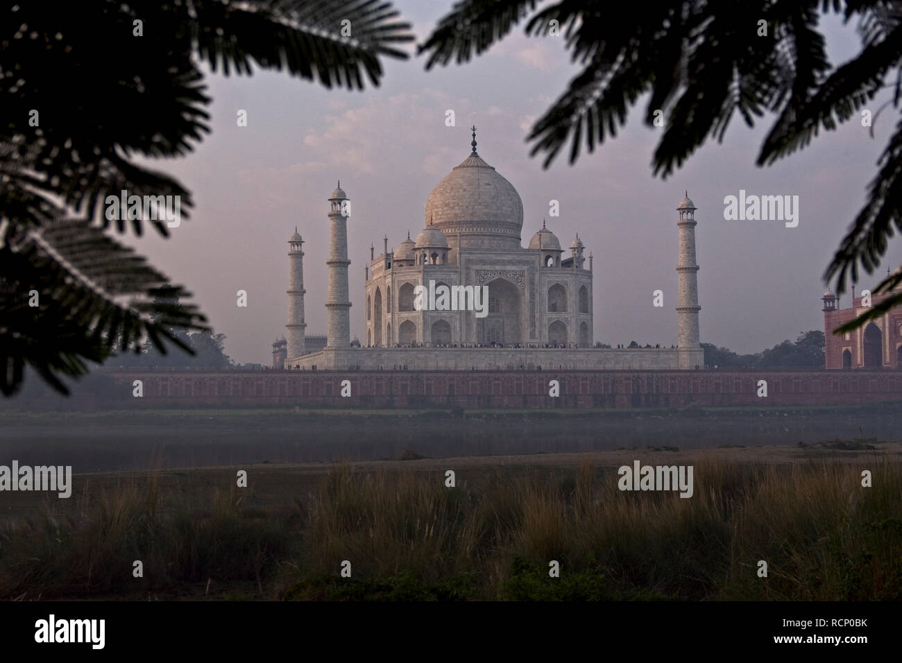 Taj Mahal mattina presto vista Foto Stock