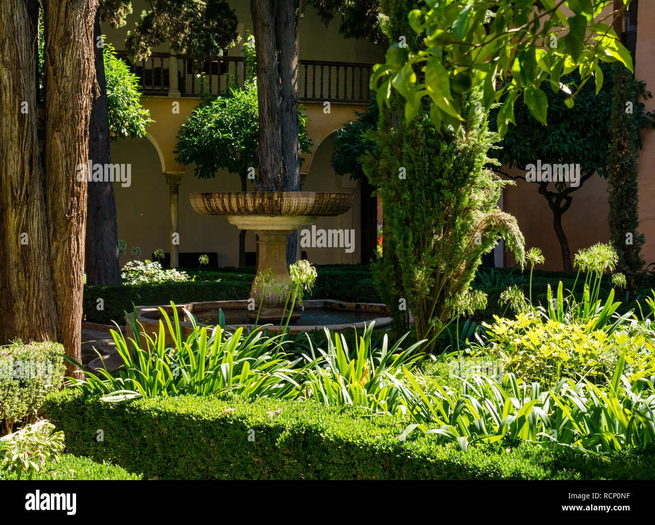 Ombra in Daraxas giardino, Giardino dell'arancio, Nasrid Palace, Alhambra Palace, Granada, Andalusia, Spagna Foto Stock
