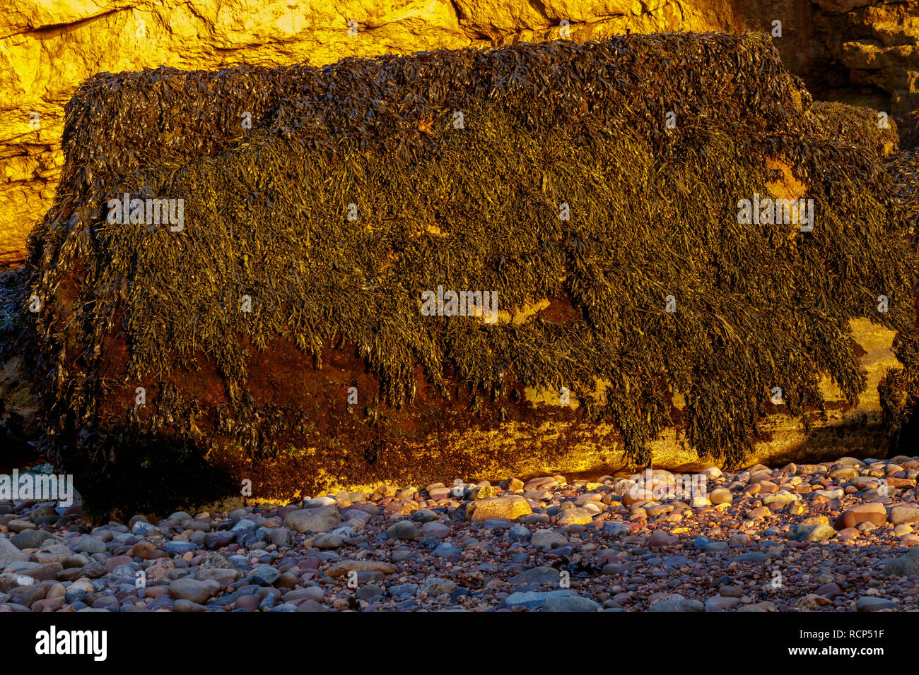 Preso da lady bay. Foto Stock