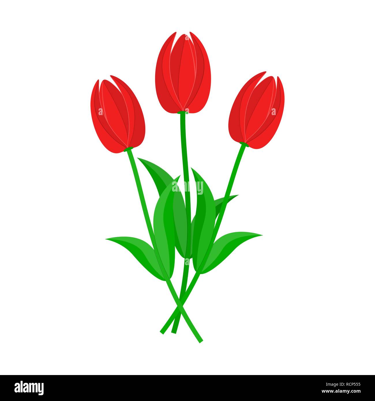 Bouquet di tulipani rosa nel design piatto. Illustrazione Vettoriale. Bouquet di tre tulipani rossi, isolato su sfondo bianco Illustrazione Vettoriale