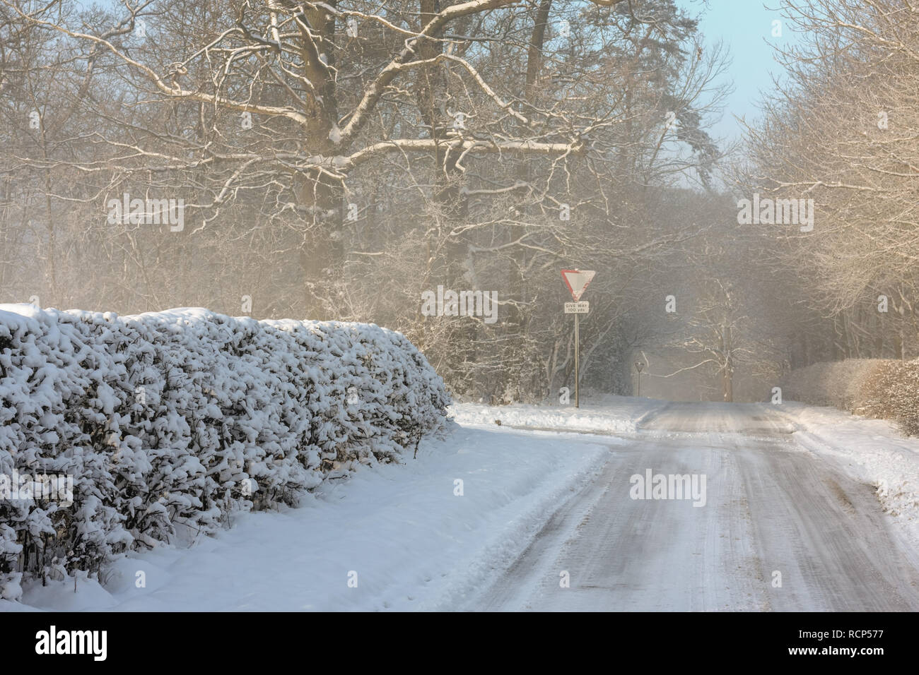 Coperte di neve paese boscoso lane che è stata compattata e rivolta al ghiaccio. Melton Mowbray England Regno Unito Foto Stock