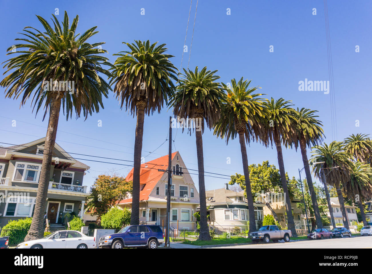 Le antiche case e le palme su una strada nel centro cittadino di San Jose, California Foto Stock