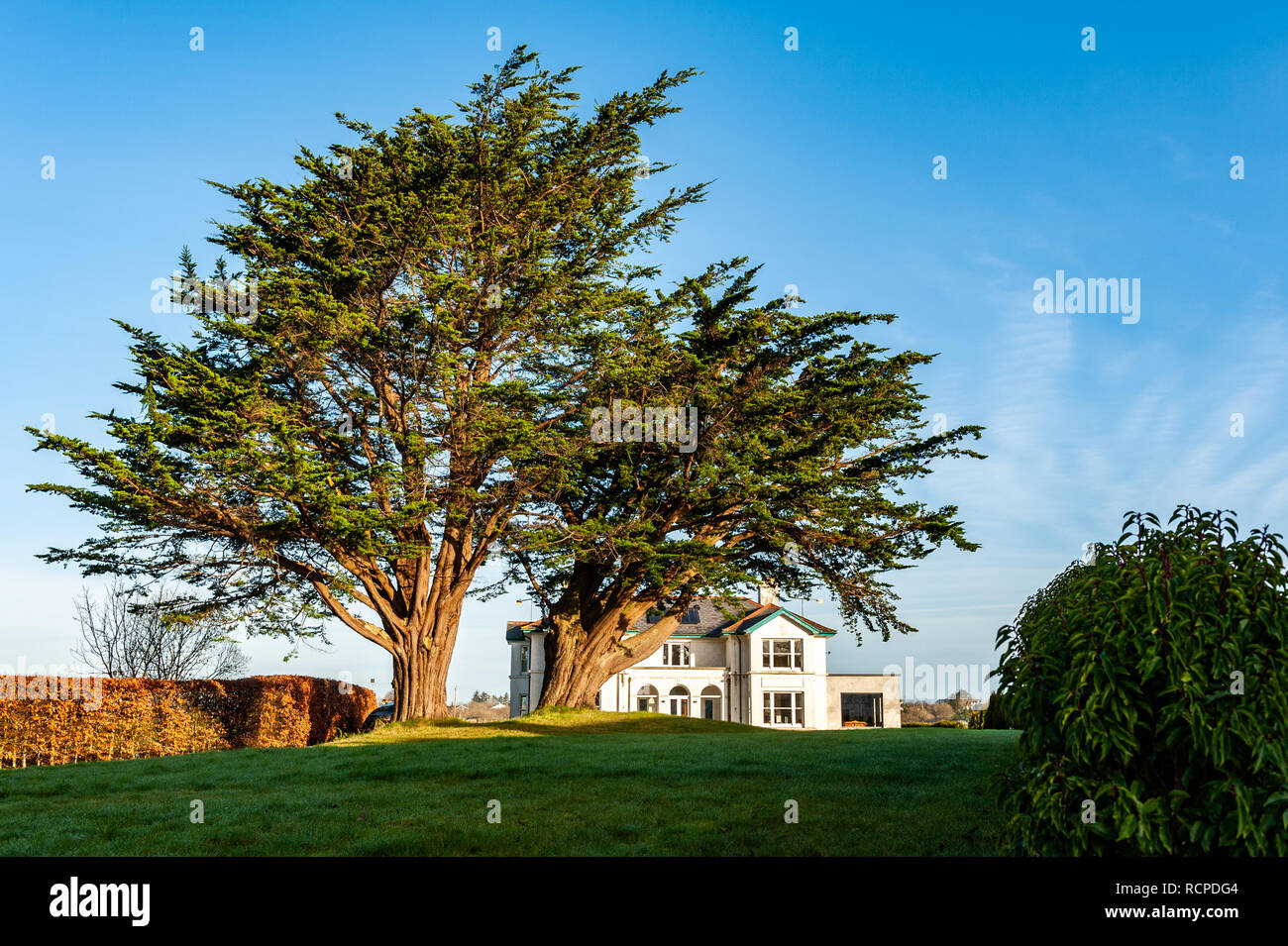 Casa di campagna con albero su una soleggiata giornata invernale e a Skibbereen, West Cork, Irlanda con copia spazio. Foto Stock