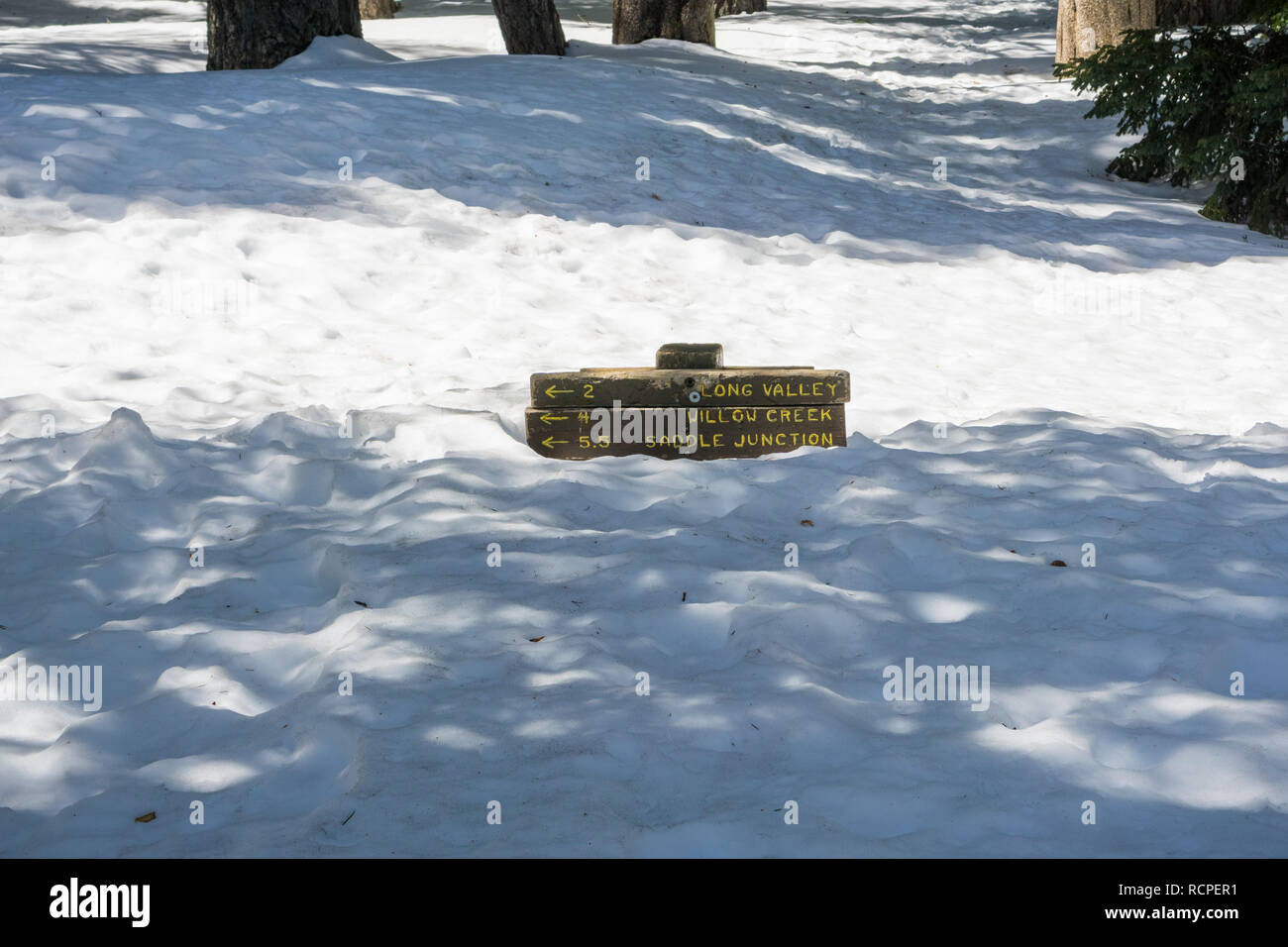 Segnavia quasi sepolto nella neve, Monte San Jacinto State Park, California Foto Stock