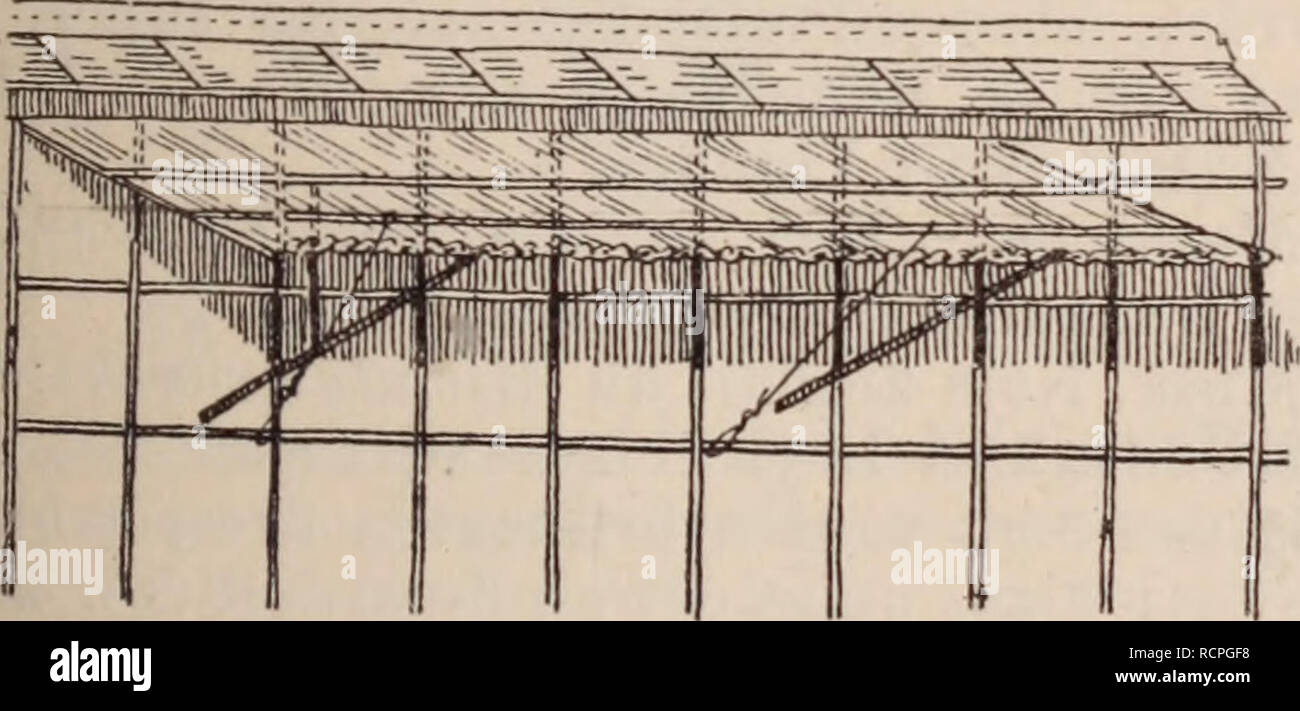 . Dictionnaire d'orticoltura illustrÃ© / par D. Bois prÃ©faccia de Maxime Cornu avec la collaboration de E. AndrÃ© ... [Et al.].. Orticoltura; dizionari.. Fig. 597. Â Mur d;spalliera. Pour les jardins maraÃ®chers su se contente de petits murs de 1 m. 50, qui, souvent en totalitÃ© ou sur une face, sont louÃ©s par des pí©piniÃ©ristes pour le dressage des arbres formÃ©s.. Fig. 598. Â Mur avec potence et auvent. La produzione fruitiÃ¨re exigible Stracciatevi le cha- peron qui couronne le mur; cet auvent en plÃ¢tre lave, terre cuite, verre Ã©pais, oÃ¹ trop souvent nichent les petits ravageurs de frutti Foto Stock