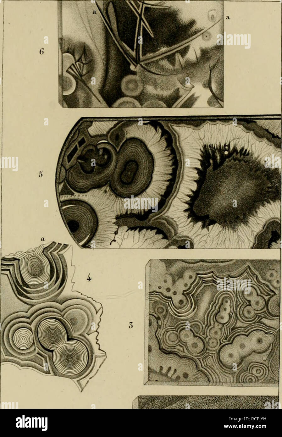 . Dictionnaire des Sciences Naturelles, dans lequel on traite méthodiquement des différens êtres de la natura, considérés soit en eux-mêmes, d'après l'état attuale de nos connoissances, soit relativement à l'utilité qu'en peuvent retirer la médecine, l'agricoltura, le commerce et les artes. Suivi d'une biographie des plus célèbres naturalistes. Storia naturale. MINERALOGIE. "FÀtW/,- ,Âv (fy,l&amp;J. Pl.V.. • • •••" •• 1. L'agata ponctuée. Ho 4.oeilléc agata. 2. L'agata tacliée. 5. L'agata oeillée . 3. L'agata oeillée. (&Gt;.S..ÀvfC t/ùposif'yarti'r-^Je^c.oii/EUI. Si prega di notare che queste immagini sono ext Foto Stock