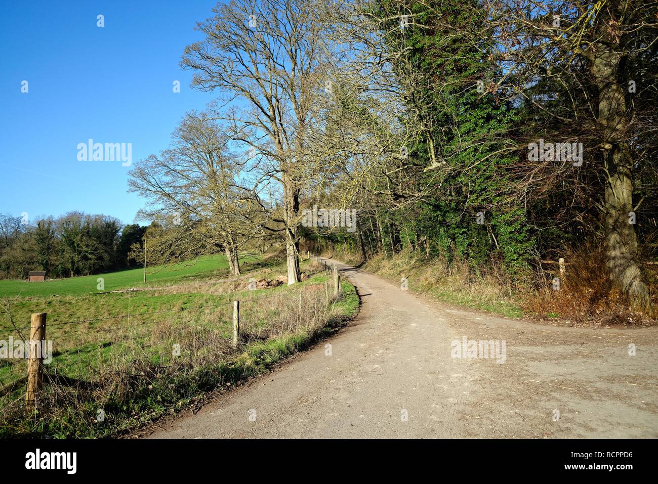 Un vuoto e remoto paese lane sul comune Ranmore Surrey Hills su un soleggiato inverni giorno vicino a Dorking England Regno Unito Foto Stock