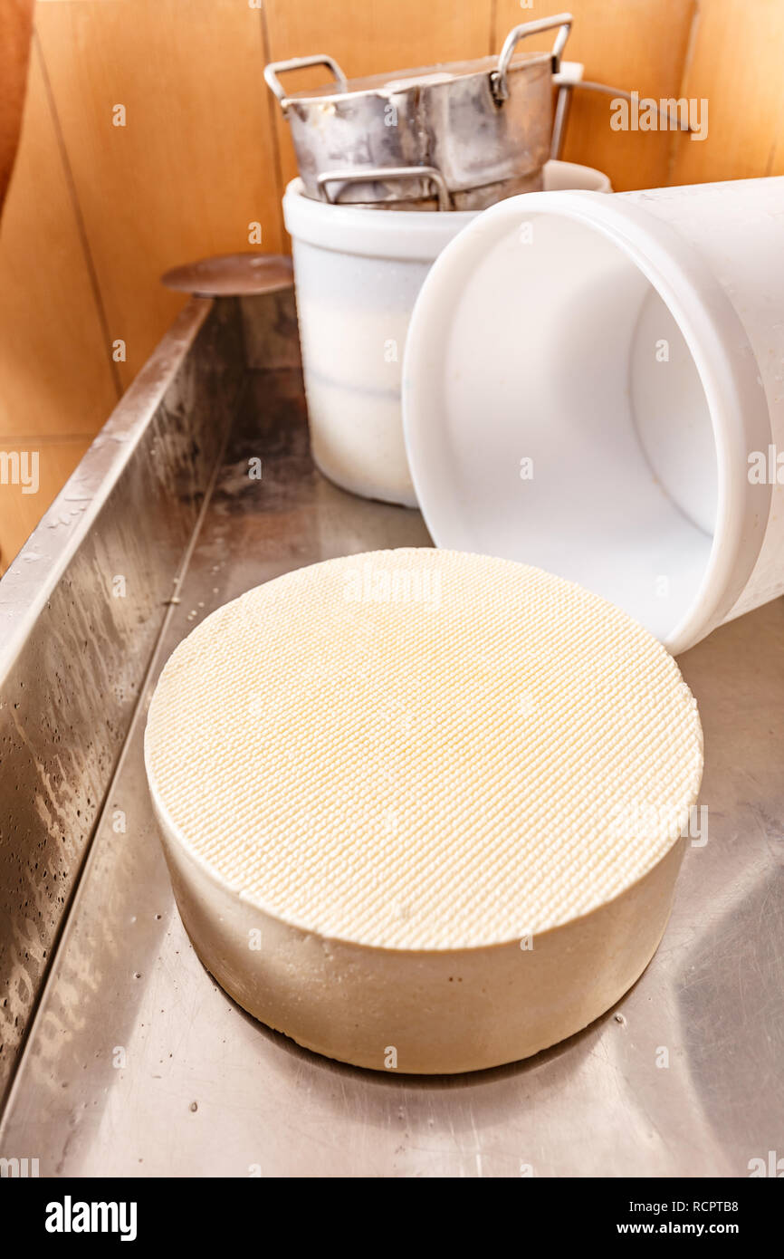 Formaggio fresco e stampo in plastica in corrispondenza della piccola azienda di produzione di Foto Stock