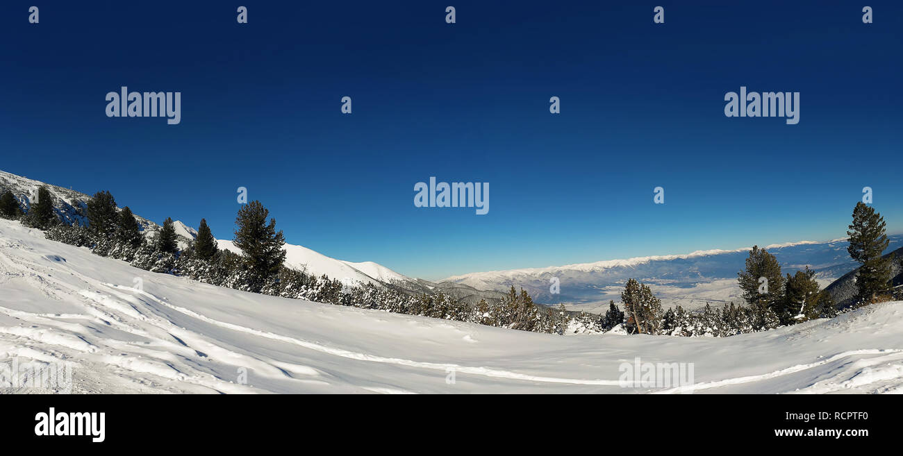 Neve Montagne Paesaggio panorama in bulgaro località sciistica di Bansko, cielo blu chiaro e il bosco di abeti. Foto Stock