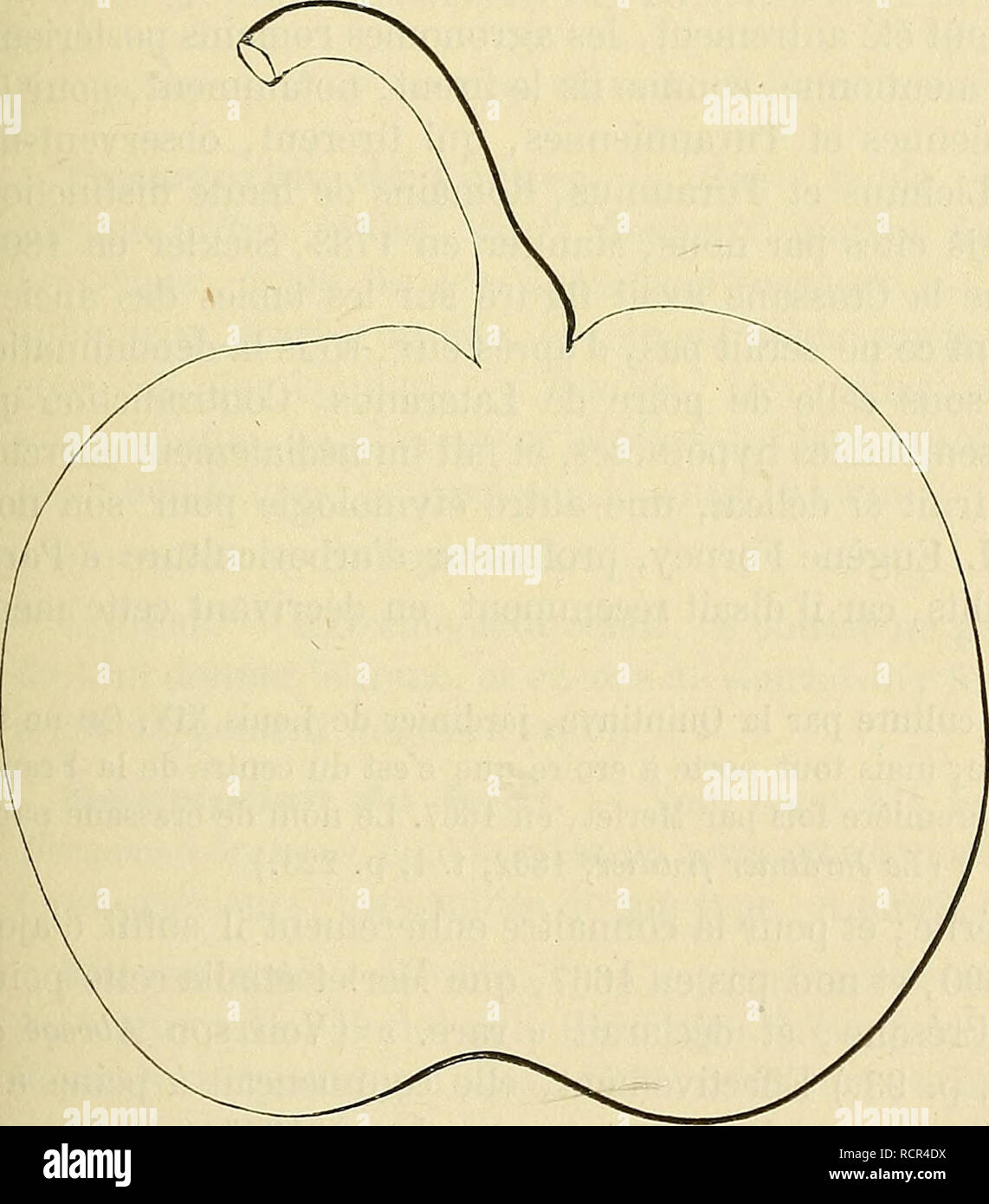 . Dictionnaire de pomologie : contenant l'histoire, la descrizione, la figura di frutti des Anciens et des frutti modernes les plus gÃ©nÃ©ralement connus et cultivÃ©s. Frutta. BER [bergamote comâcra] 231 Poire BERGAMOTE COMUNE. Â Synonyme de Bergamote d'Automne. Yoir ce nom. Poire BERGAMOTE CRAPAUD. Â Synonyme de Bergamote Bufo. Voir ce nom. 109. Poire BERGAMOTE CRASSANE. Synonymes. Â Poires : 1. Bergamote crÃ©sane (Merlet, l'AbrÃ©gÃ© des Bons frutti, Ã©dition de 1690, p. 92). Â 2. Bergamote de CrÃ©sane (Dom Gentil, Le Jardinier solitaire, Ã©dition de 1723^ p. 51). Â 3. BeurrÃ© plat ( la Quintiny Foto Stock