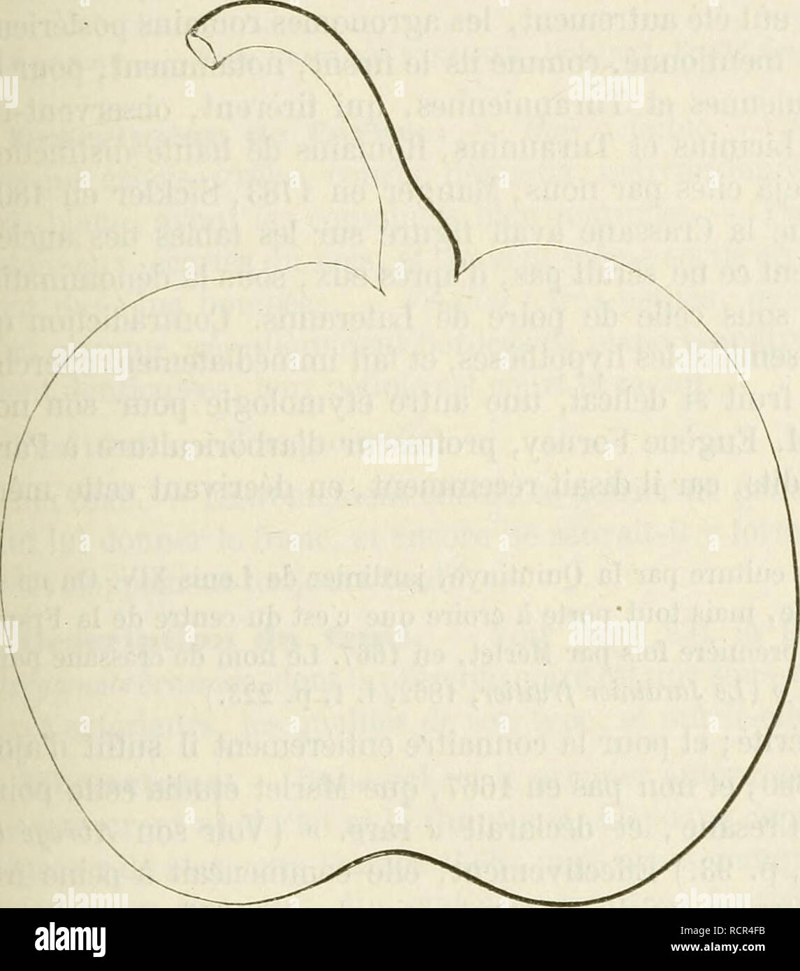 . Dictionnaire de pomologie, contenant l'histoire, la descrizione, la figura di frutti des Anciens et des frutti modernes les plus gÂ©nÂ©ralement connus et cultivÂ©s. Frutti-coltura. BER [bergamote comâcra] 231 Poire BERGAMOTE COMUNE. Â Synonyme de Bergamote d'Automne. Voir ce nom. Poire BERGAMOTE CRAPAUD. Â Synonyme de Bergamote Bufo. Voir ce nom. 109. Poire BERGAMOTE CRASSANE. Synonymes. Â Poires : 1. Bergamote crÃ©sane (Merlet, l'AbrÃ©gÃ© des Bons frutti, Ã©dition de 1G90, p  92j. Â 2. Bergamote de CrÃ©sane (Doiu Gentil, Le Jardinier solitaire, Ã©dition de 1723, p. 51). 3. BeurrÃ© plat ( la qu Foto Stock