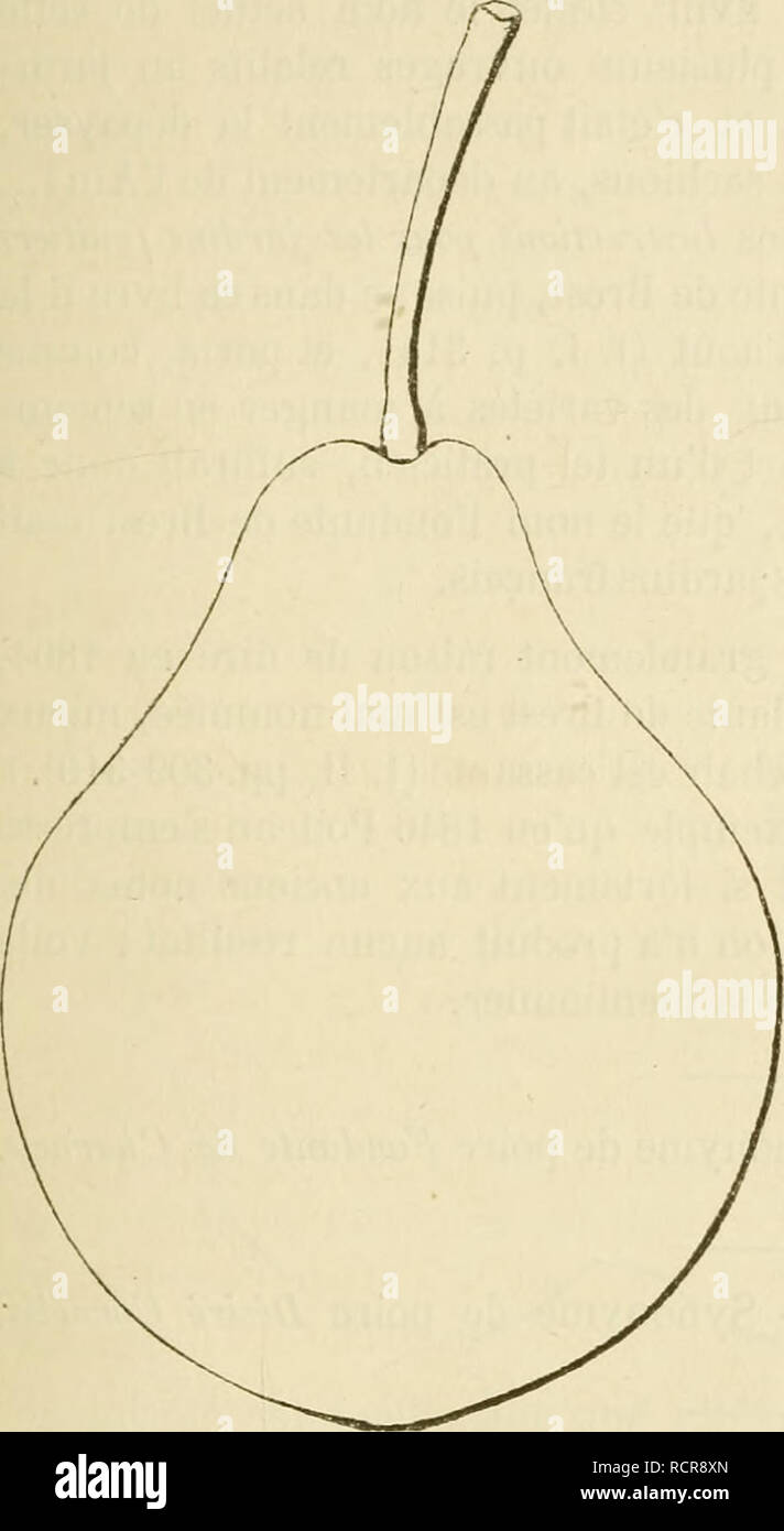 . Dictionnaire de pomologie, contenant l'histoire, la descrizione, la figura di frutti des Anciens et des frutti modernes les plus gÂ©nÂ©ralement connus et cultivÂ©s. Frutti-coltura. FON [FONDAiNTE BRE] 169 Poire fondante de Bresse. Â Synonyme de poire fondante di Brest. Voir ce nom. 509. Poire fondante di Brest. Synonymes. Â Poires: 1. Inconnue du Chesneau (dom Claude Saint-Etienne, instruclioti nouvelle pour connaÃ®tre les bons frutti, Ã©dition de 1670, p. 59). Â "2. Inconnue-Chesneau (Merlet, l'AbrÃ©gÃ© (Jesf/ons frutti,idl^, p. 82).â 3. Fondante de Bresse ( domle Gentil, Le Jardinier Solis Foto Stock