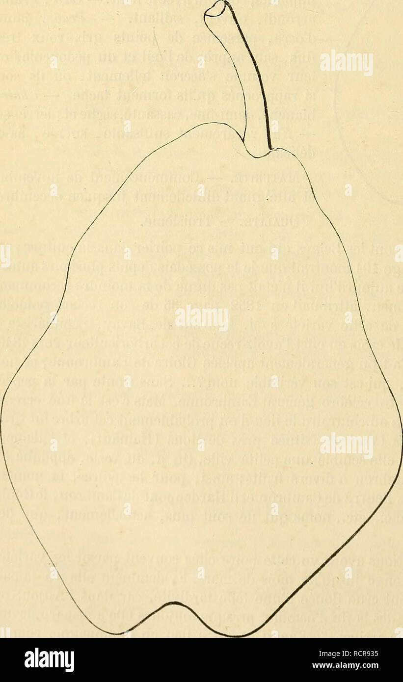 . Dictionnaire de pomologie : contenant l'histoire, la descrizione, la figura di frutti des Anciens et des frutti modernes les plus généralement connus et cultivés. Frutta. 228 GLO à Troyes : Â" La poire Gloire de Cambronne est genere onu de Beurré d'Angleterre Â" mÃ"rissant onu mois après ce dernier frutta. Â" [Revue horticole, n° du 1er avril, p. 136.) et le Beurré d'Angleterre, chacun le sait, n'existe plus à la mi-octobre. Poire GLOIRE DE Cambronne.  Synonyme de poire Gloire de Cambron. Voir ce nom. Poire GLOIRE DE L'Empereur.  Synonyme de poire Napoléa. Voir ce nom. Poire GLOU-MORCEAU Foto Stock