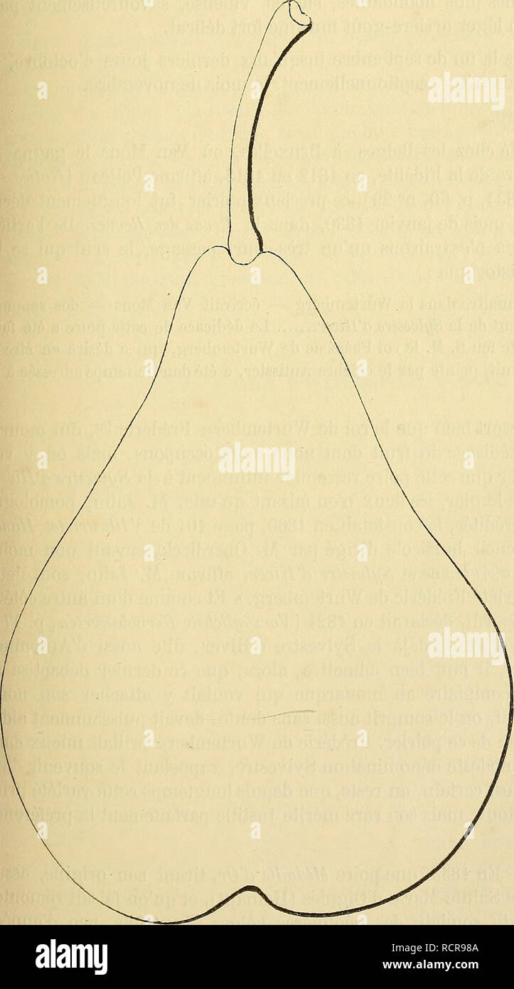 . Dictionnaire de pomologie : contenant l'histoire, la descrizione, la figura di frutti des Anciens et des frutti modernes les plus gÃ©nÃ©ralement connus et cultivÃ©s. Frutta. Da frà 199 529. Poire FRÃDÃRIC DE WURTEMRERG. Synonymes. Â Poires: 1 et 2. Sylvestre d'Automne et d'Hiver [des Allemands] ( Diel, VorzÃ¹glichste Kernobstsortcn, 1821, p. 170; et Jahn, lllustrirtes Handbuch der Obstkunde, 1860, p. 101 ). Â 3. MÃ©daille d'Or (A. Royer, Annales de pomologie belge et Ã©trangÃ¨re, 1853,1.1, p. 91). Â 4. Louis de Wurtemberg (Thuillier-Aloux, catalogo raisonnÃ© des poirier qui peuvent Ãªtre cultivÃ© Foto Stock