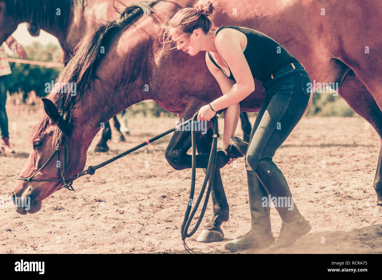 Animale e l'amore umano, equine concetto. Donna Jockey avendo cura di cavallo Foto Stock