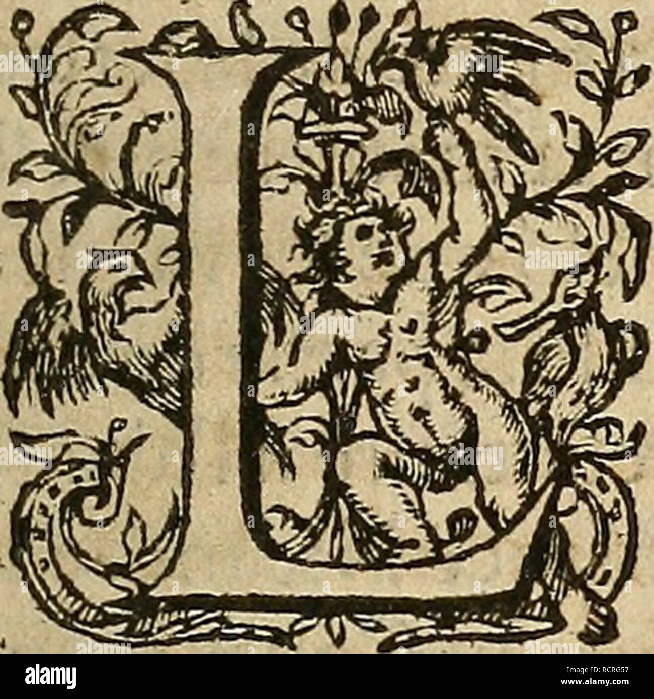 . Devx Livres des venins, ausquels il est amplement discouru des bestes venimeuses, theriaques, veleni. Animali velenosi; piante velenose; avvelena; Antitoxins; poesia da medici; tossine; i veleni. Ai(ÃoppQcÃ§,y Tlitmorrhouiy Coule-fin^. ^ E Coule-fang una elle nomme par les Grecs Ã'c par les latini HsemorrhoÃ": ce mot eft faid de deux conioinds enfemble, un fÃ§a- uoir, d'vn qui fignifie fang, &AMP; dVn autre â"'^â"' ? Â"*?- qui fÃ®gnifie flussante, lelquels afl!emblÃ§'s figni- fient Flux de fang, ou CoulefÃ ng. La Rai- (bn pour laquelle il un efte ainfÃ® nommÃ©,ell pourautant que le fang coule par Foto Stock