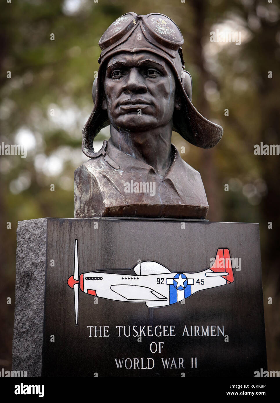 Avieri Tuskegee monumento in Walterboro Foto Stock