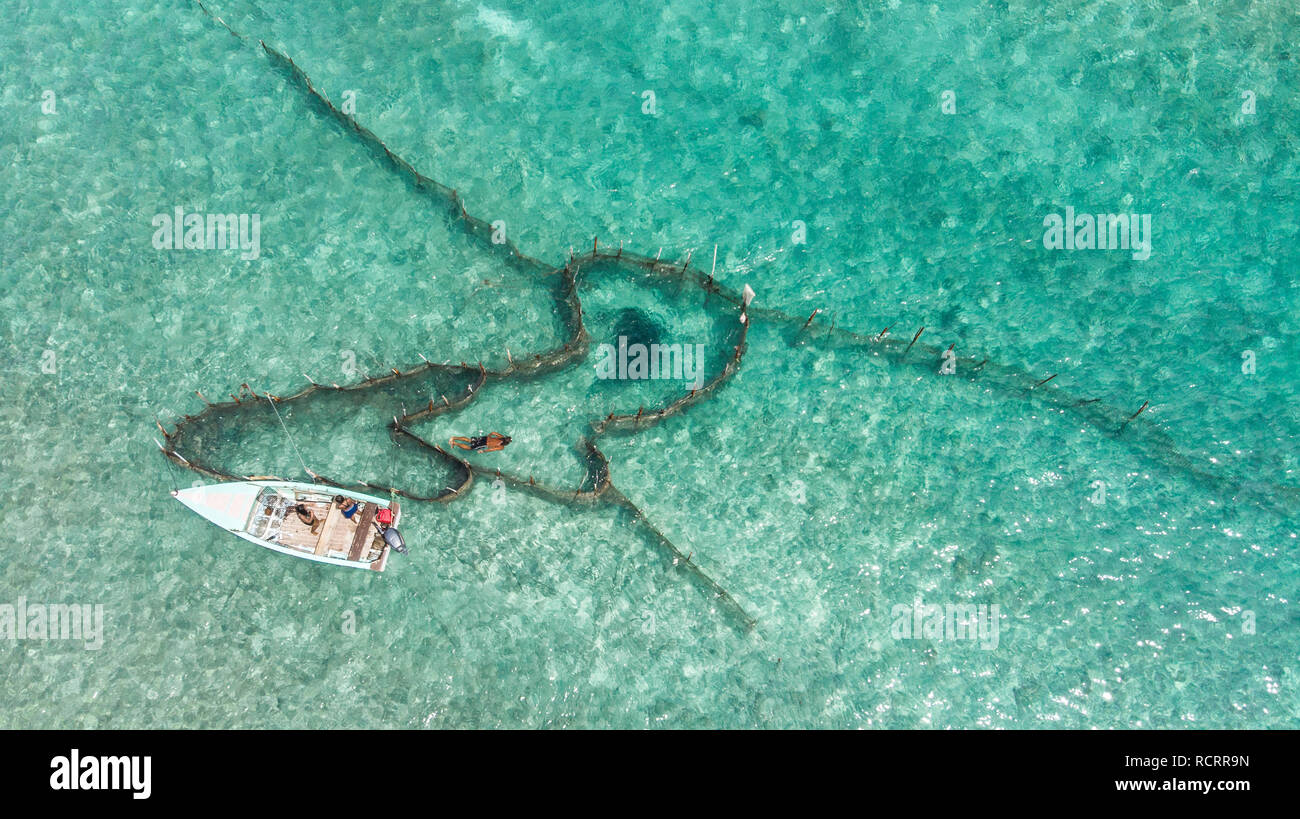 I pescatori di immergersi in pesci trappole tradizionali in Polinesia francese, Tikehau Atoll Foto Stock