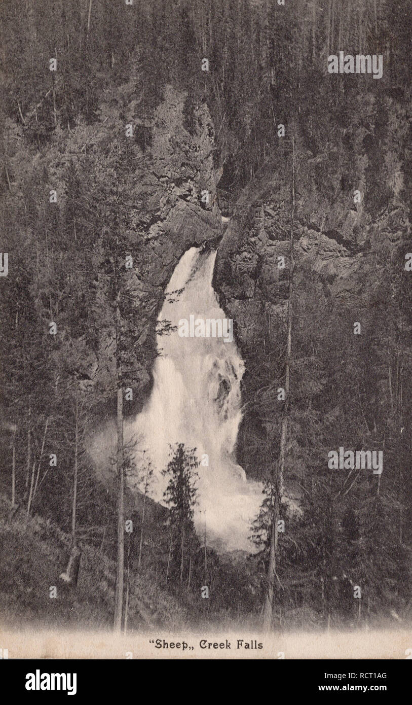 Pecore Creek Falls, Northport Washington USA, vecchia cartolina. Foto Stock
