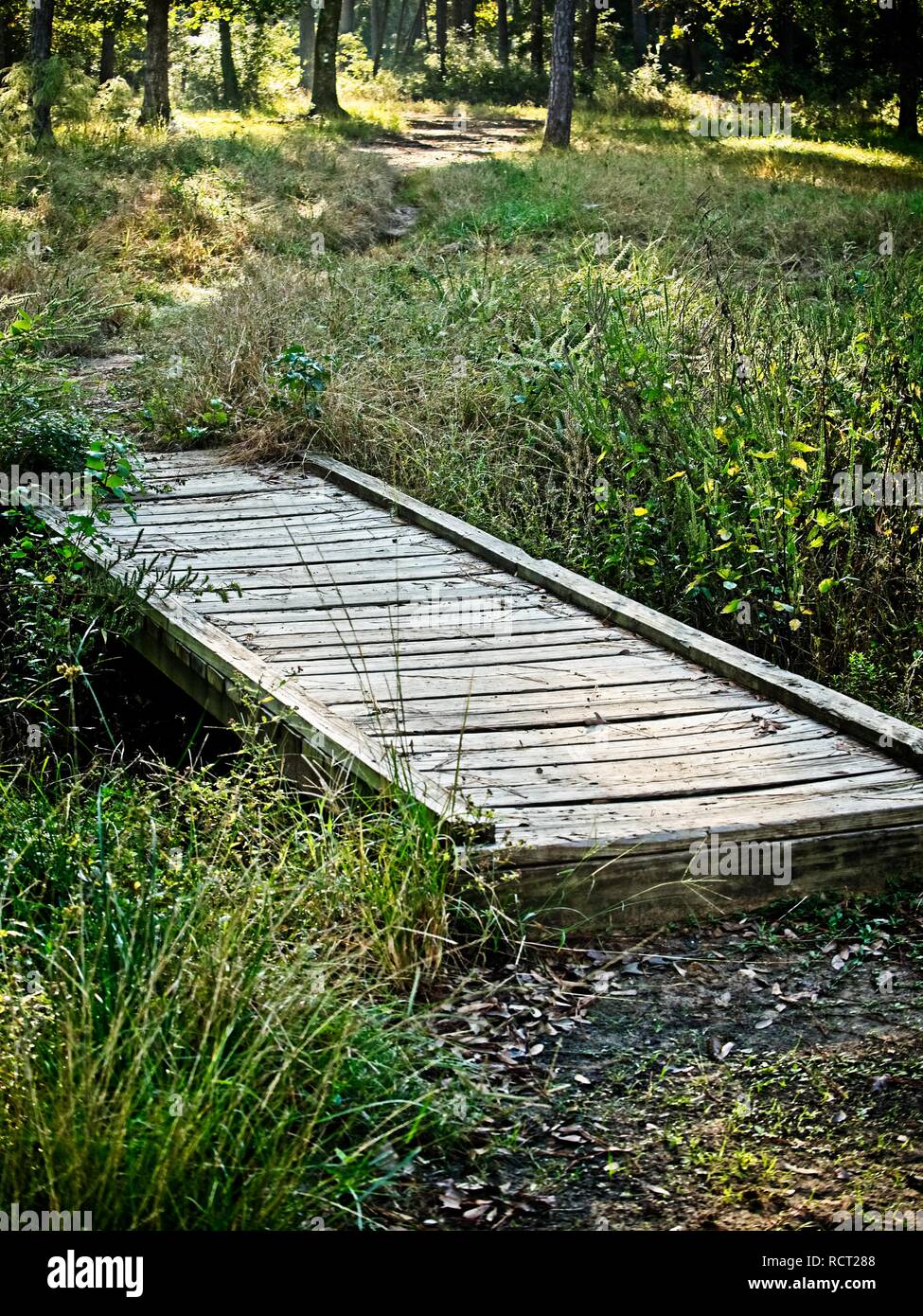 Il Woodlands TX USA - 10-30-2018 - piedi Ponte sul Torrente Foto Stock