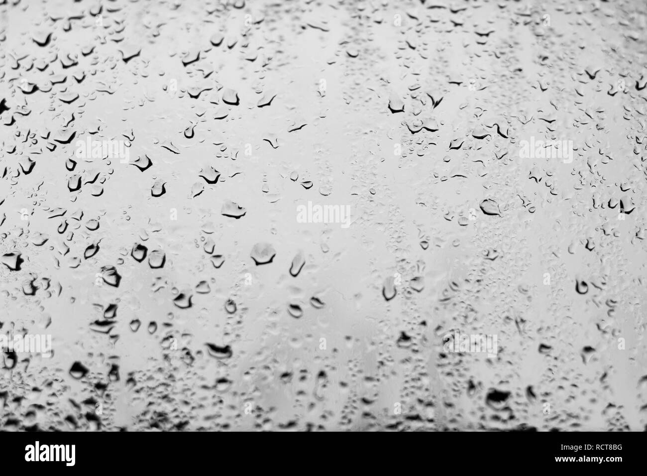 Alto contrasto foto di gocce di pioggia su un vetro di un finestrino con luce colore grigio pallido Foto Stock