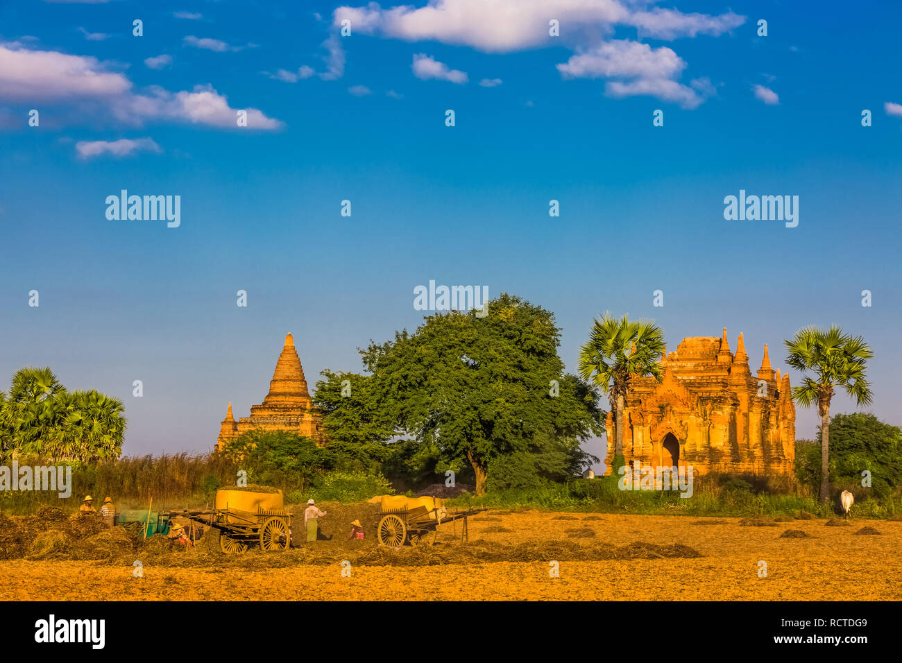 Skyline del paesaggio della storica capitale di Bagan Myanmar (Birmania) Foto Stock