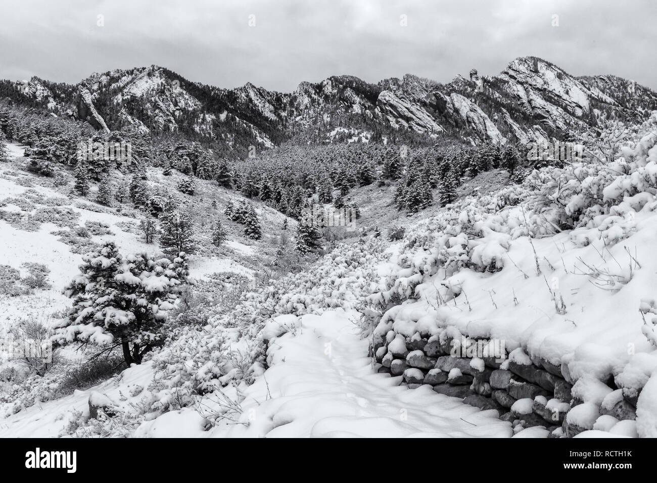 Un mattino nevoso guardando verso il Canyon di ombra e Devil's pollice dal Towhee Homestead Trail in Flatirons a sud di Boulder, Colorado. Foto Stock