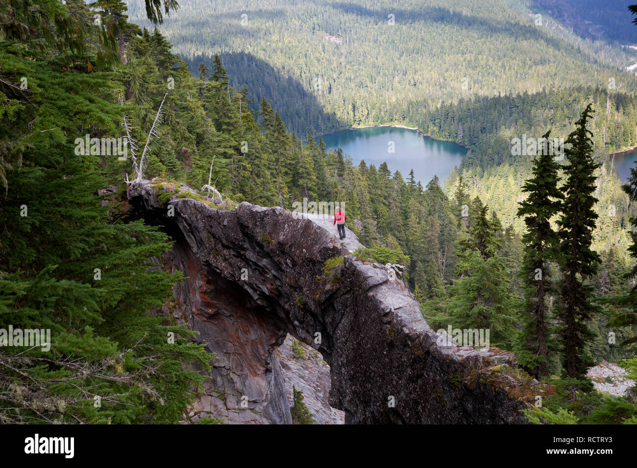 WA15778-00...WASHINGTON - escursionista camminando sul Ponte naturale al di sopra di Ethel il lago e il Lago James. Un sidetrip a nord Loop Trail in Mount Rainier Foto Stock