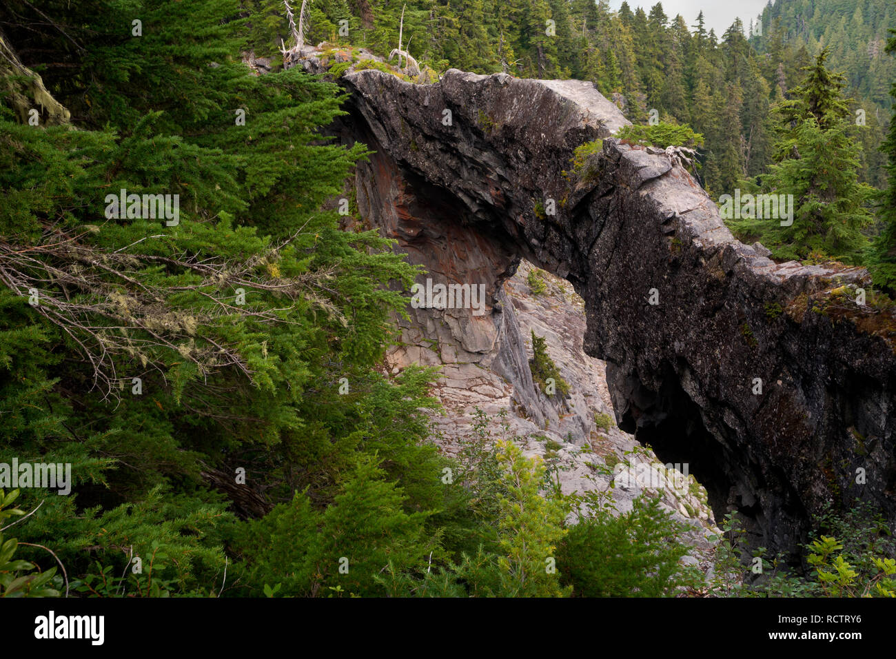 WA15779-00...WASHINGTON - Ponte naturale, un breve sidetrip a nord Loop Trail, in Mount Rainier National Park. Foto Stock