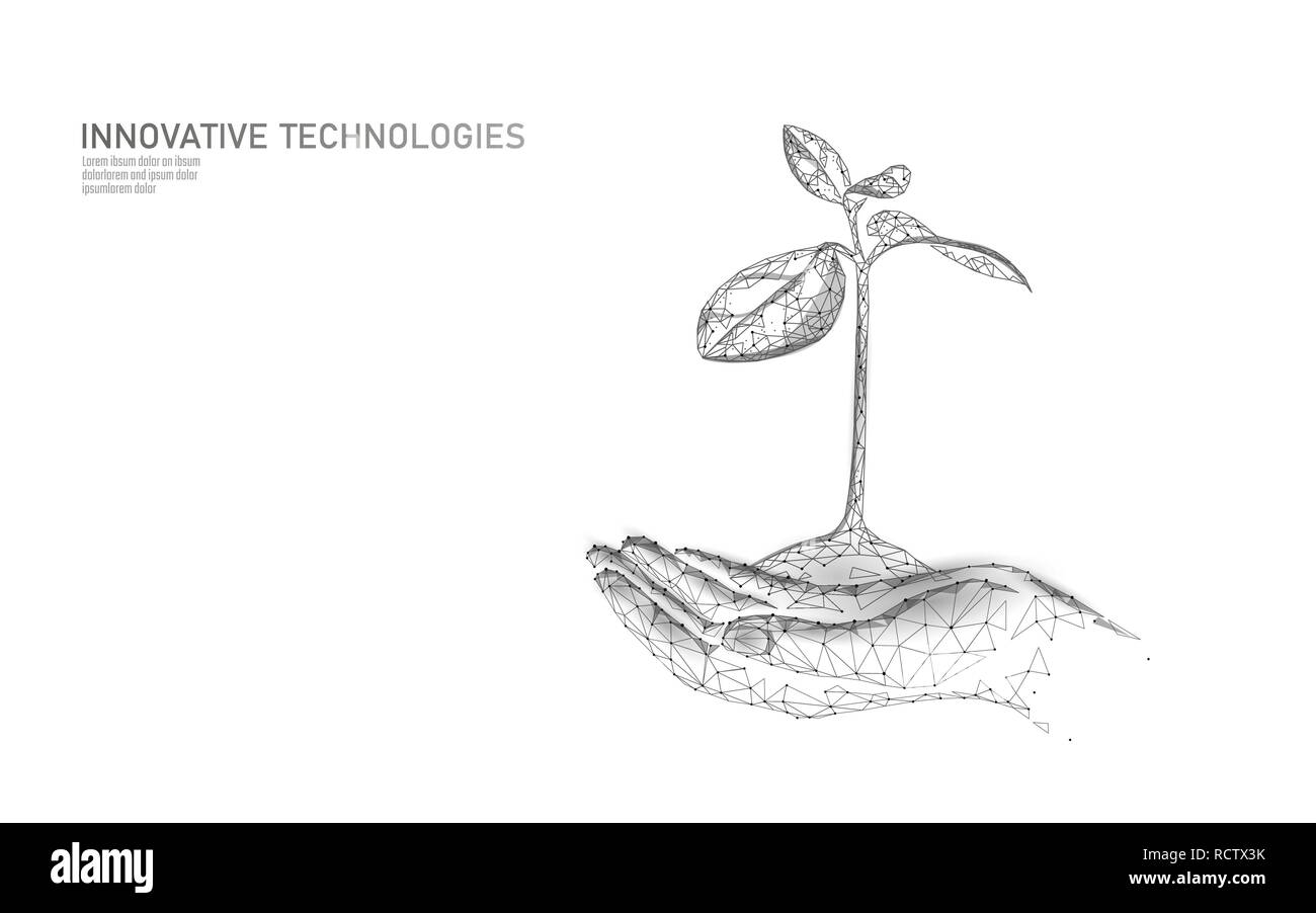 Mani impianto ecologico di germogli concetto astratto. 3D render piantina foglie. Salvare il pianeta ambiente natura grow life eco triangoli poligono bassa poli illustrazione vettoriale Illustrazione Vettoriale