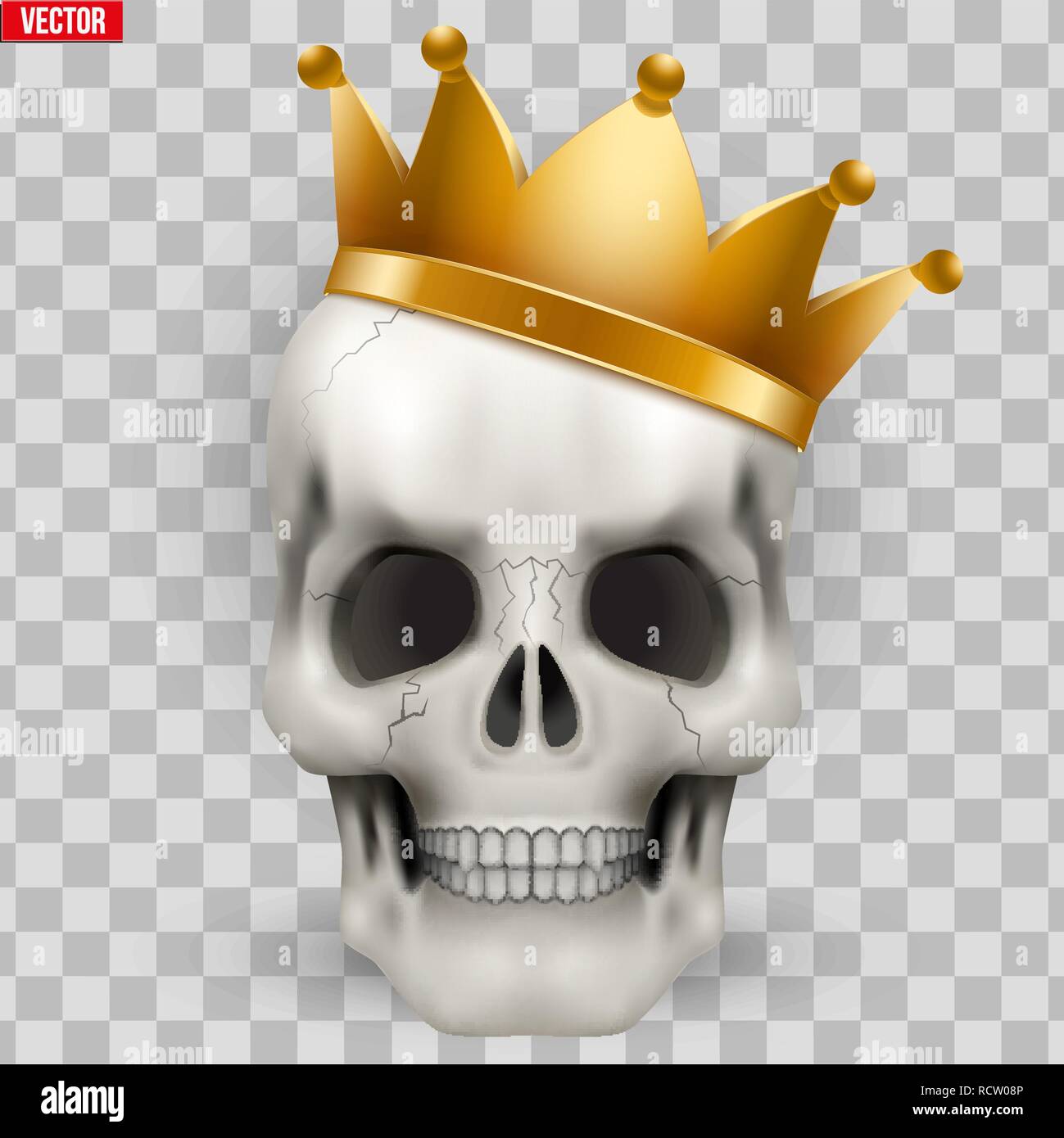 Vettore cranio umano con re Golden crown Illustrazione Vettoriale