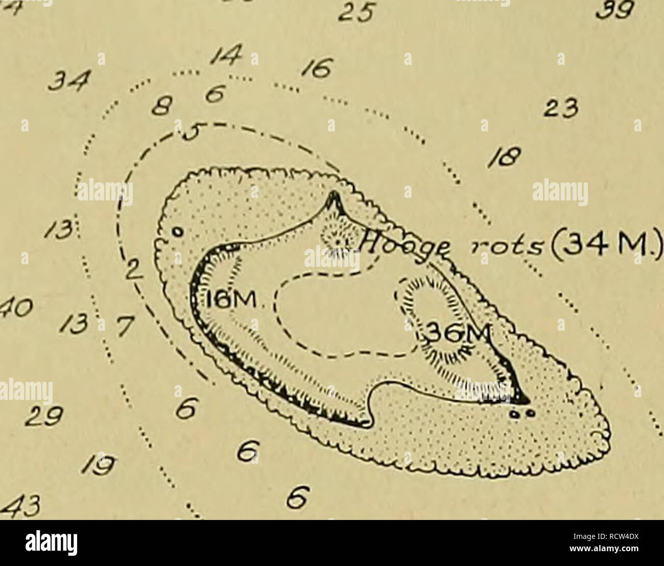 J Boog Immagini E Fotos Stock Alamy
