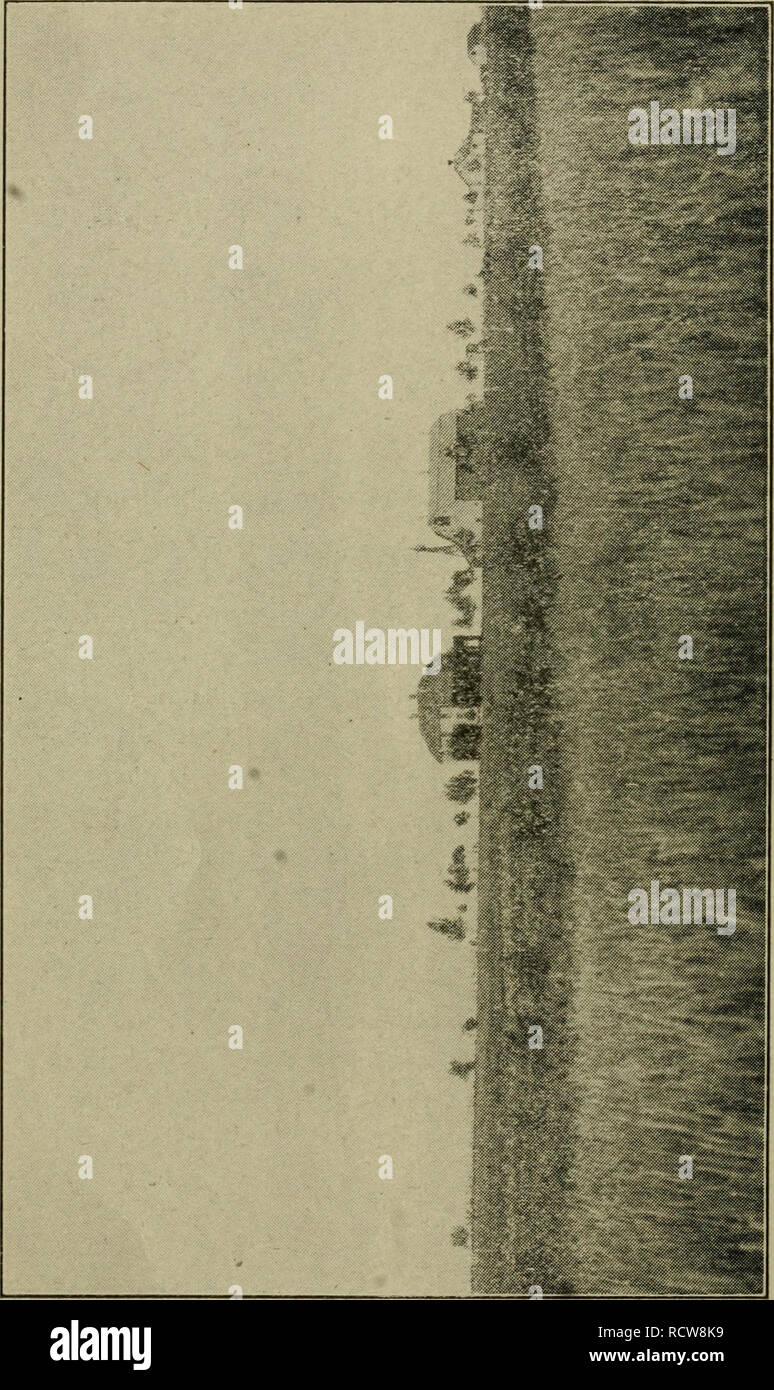 . Elementi di Agricoltura; un libro di testo per le scuole pubbliche. L'agricoltura. . Si prega di notare che queste immagini vengono estratte dalla pagina sottoposta a scansione di immagini che possono essere state migliorate digitalmente per la leggibilità - Colorazione e aspetto di queste illustrazioni potrebbero non perfettamente assomigliano al lavoro originale. Shepperd, John H. (John Henry), 1869-1939; McDowell, J. C. (John Chambers), 1867-1943, coautore. San Paolo, Minn. , Webb Publishing Company Foto Stock