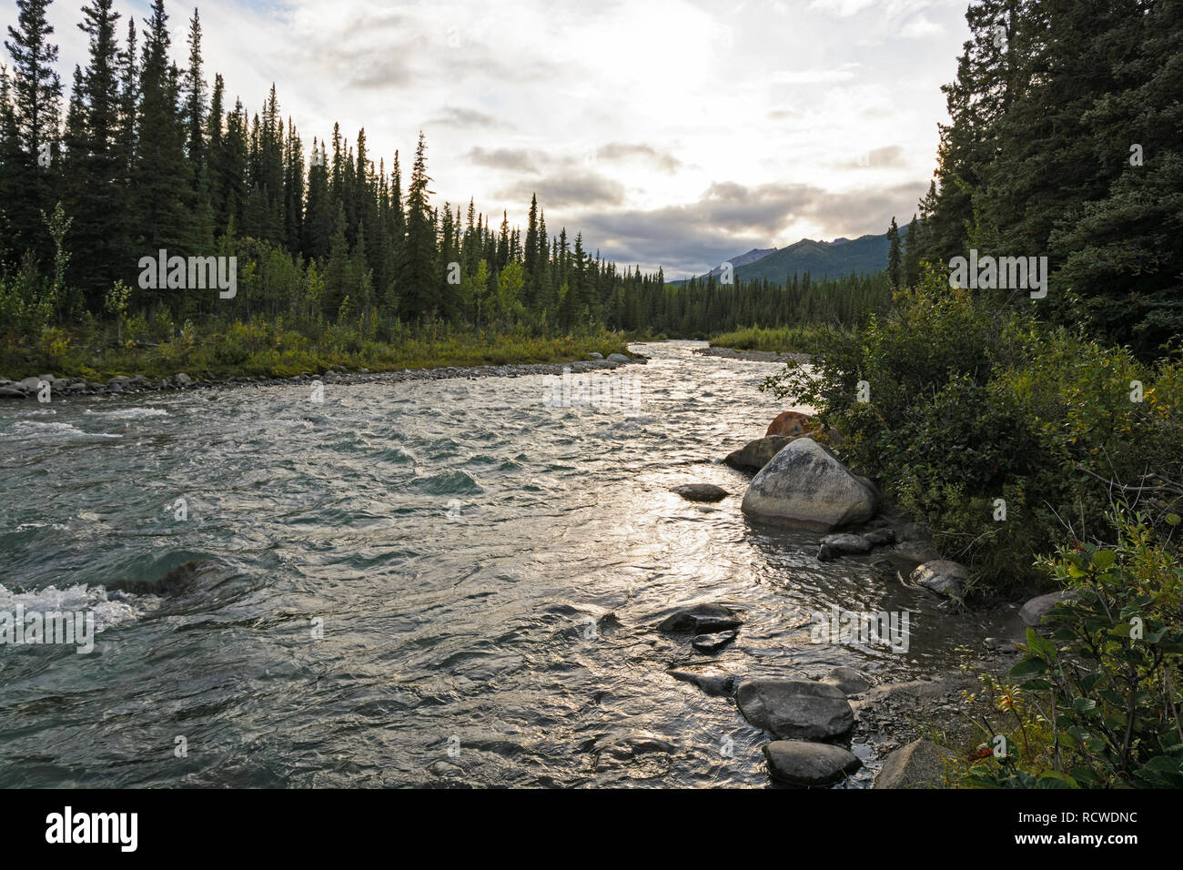 Twilight su un Riley Creek nel Parco Nazionale di Denali in Alaska Foto Stock