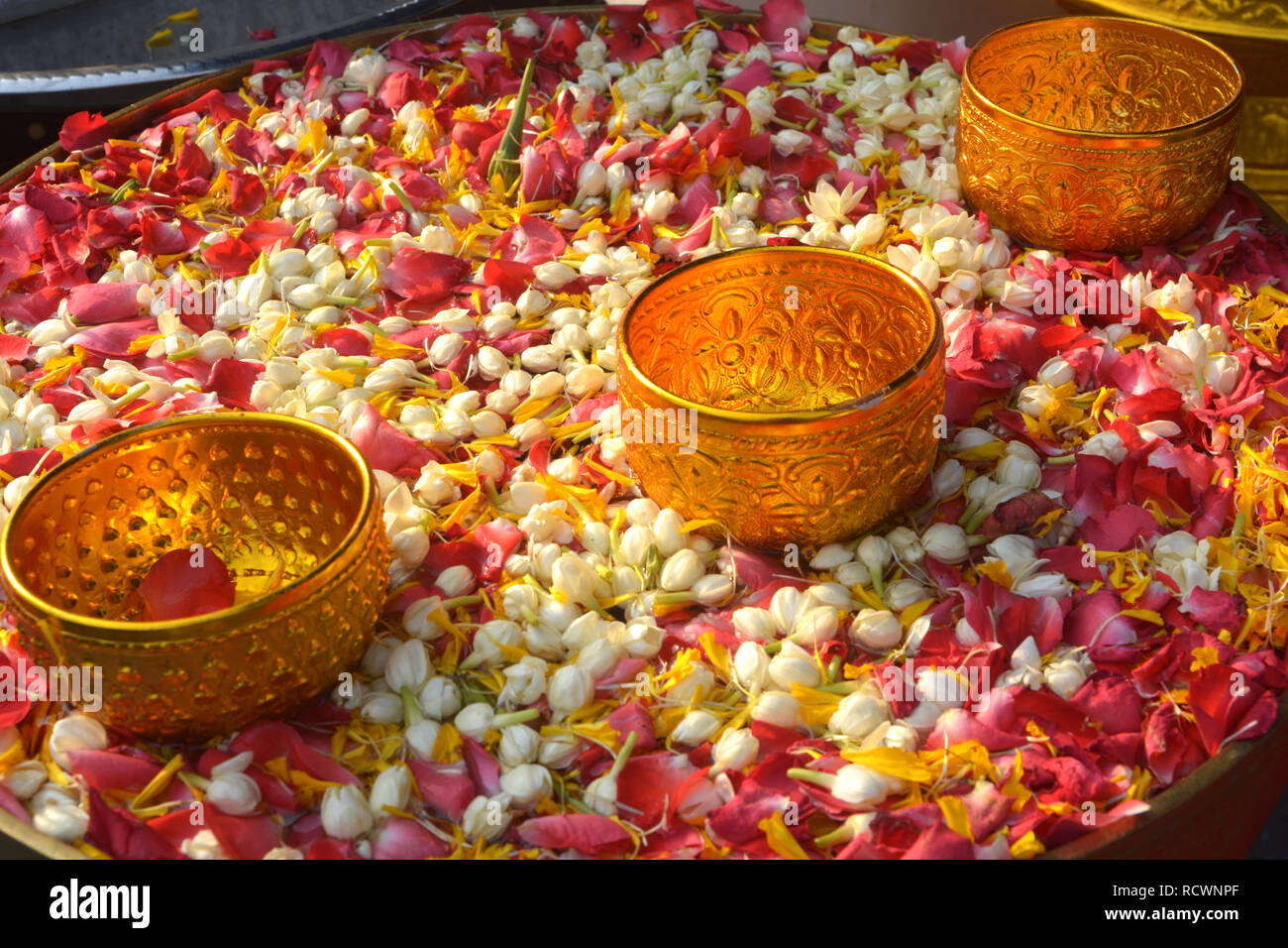 L'acqua nel recipiente mescolato con profumo e fiori, Songkran festival in Thailandia. Foto Stock
