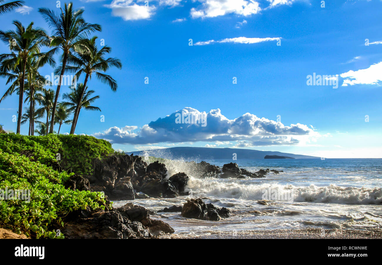 Tropical Ocean Beach al tramonto. Bellissima scenic tourist travel percorso di destinazione. Hawaii rilassante scena lungomare con palme e oceano onde sp Foto Stock