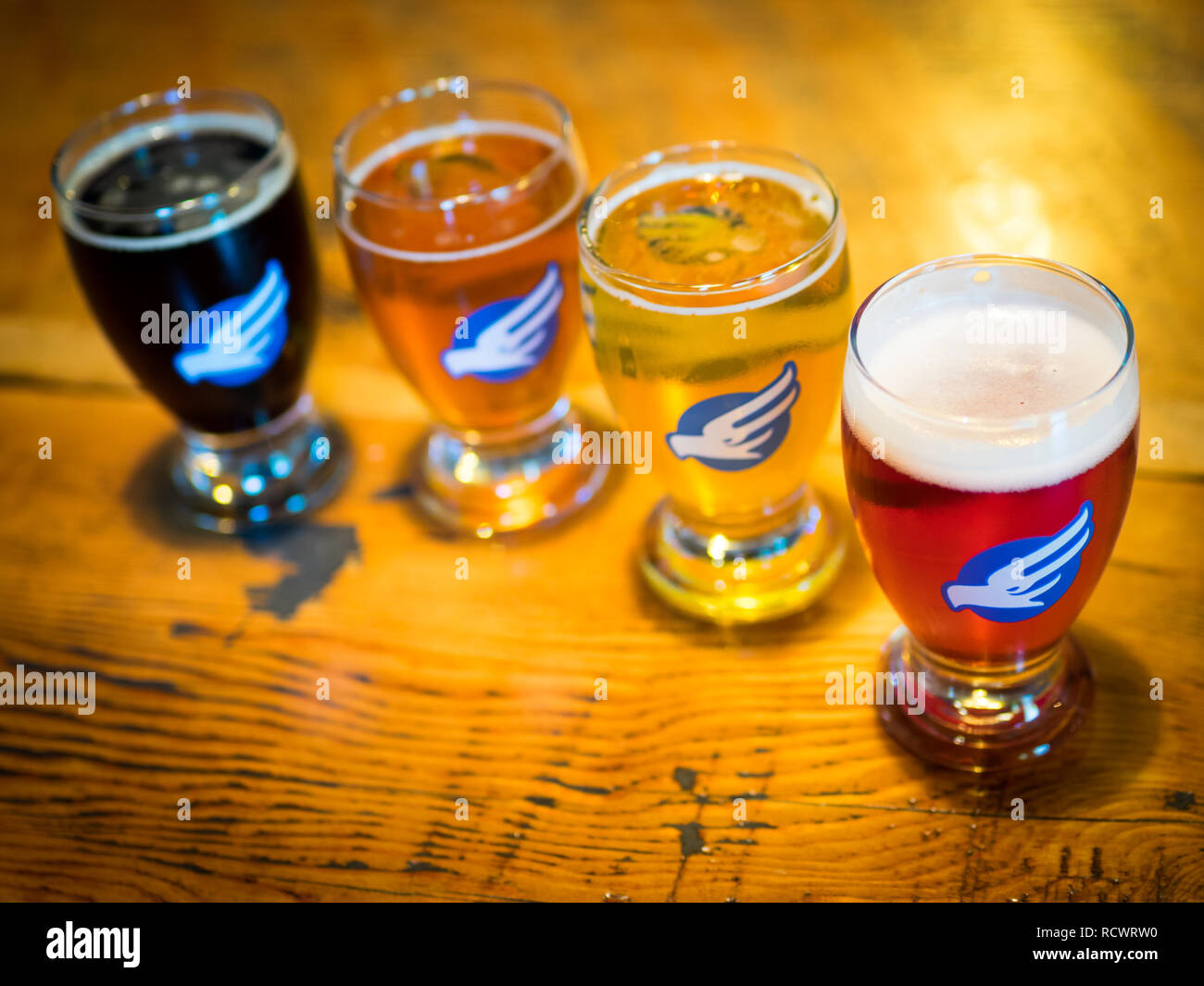 Campioni di birra dalla sala di degustazione della birra Phillips & Malteria Co., un popolare microbirreria canadese in Victoria, British Columbia, Canada. Foto Stock