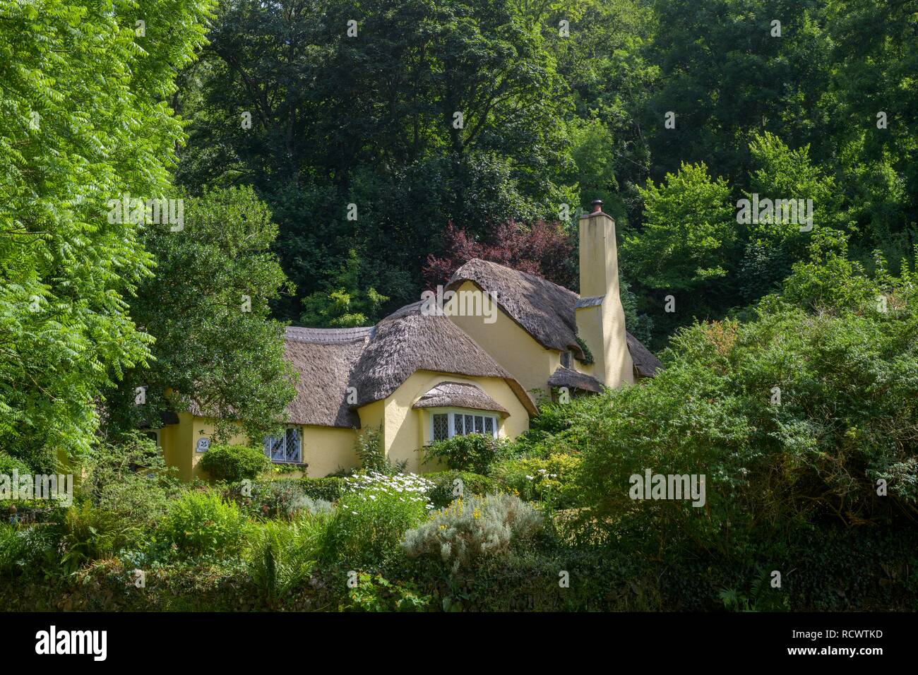 Casa di paglia, Selworthy, Inghilterra, Gran Bretagna Foto Stock