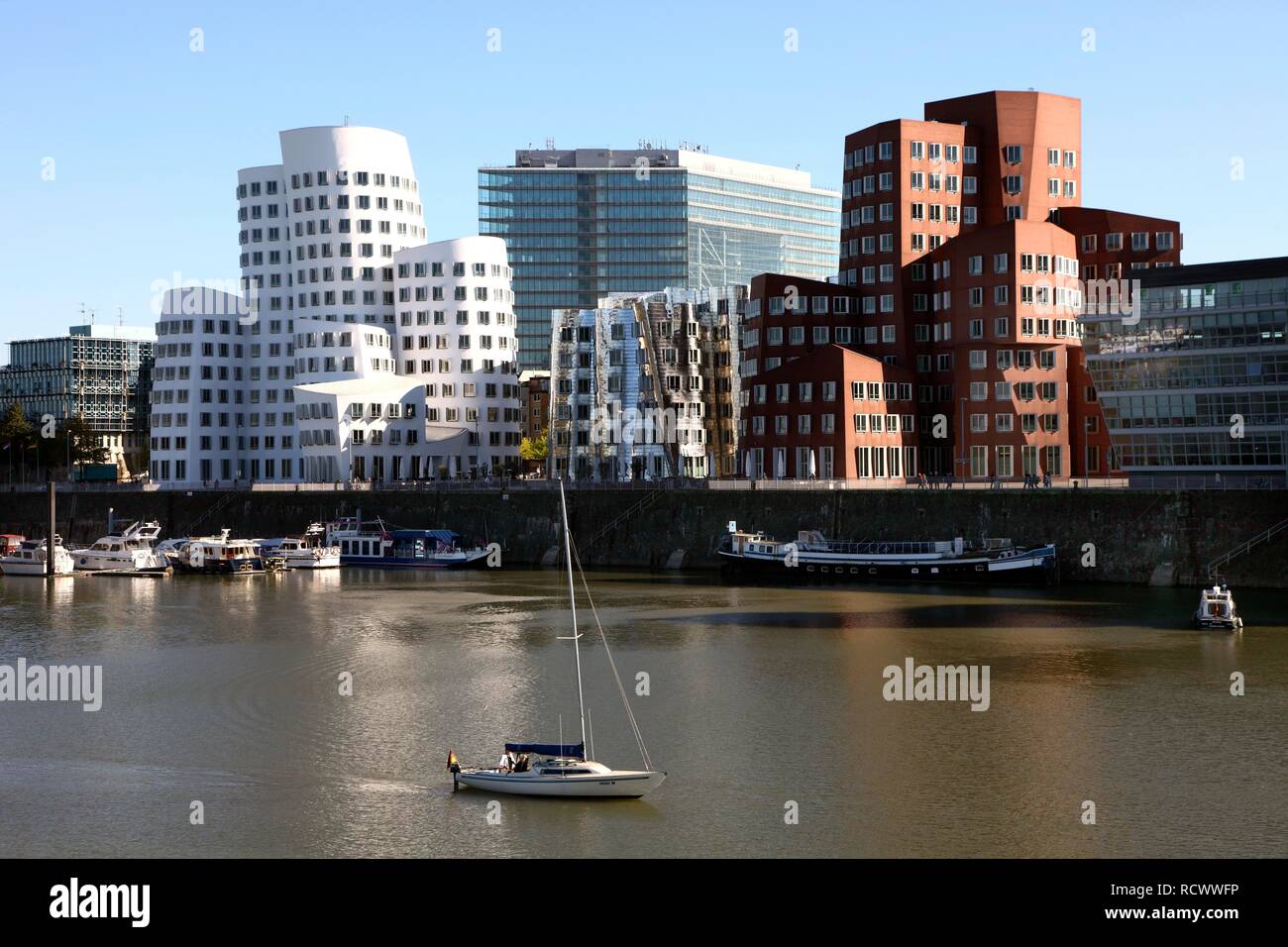 Neuer Zollhof o edifici di Gehry dall architetto Frank O. Gehry nel Medienhafen media port, Duesseldorf, Renania Foto Stock