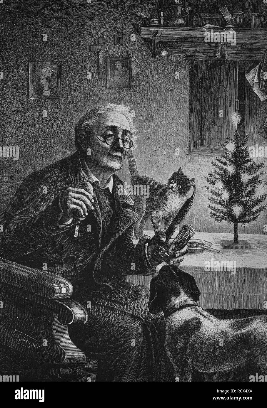 Vecchio batchelor festeggiano il Natale con un cane e un gatto, xilografia, storica incisione, 1880 Foto Stock