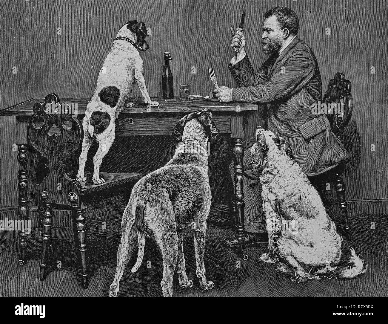 I cani di accattonaggio al tavolo, xilografia, 1888, incisione storica Foto Stock