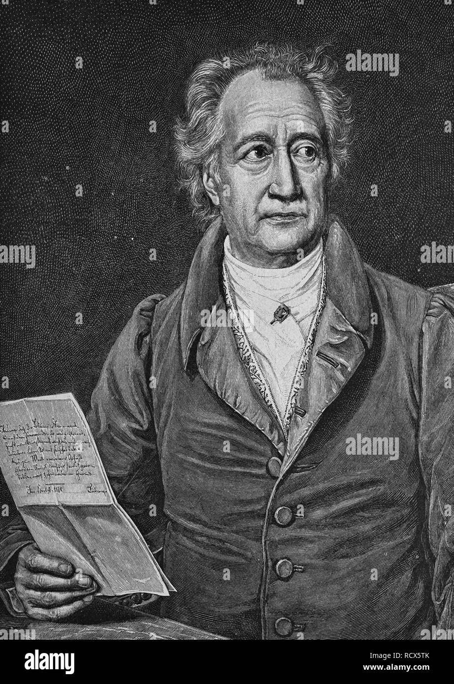 Johann Wolfgang von Goethe, Francoforte sul Meno 1749 - Weimar 1832, poeta tedesco, xilografia, 1888, incisione storica Foto Stock