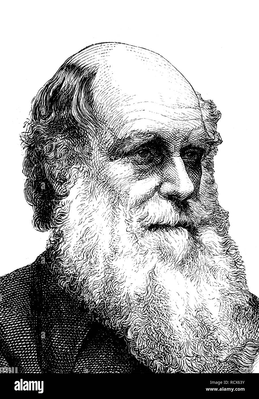 Robert Charles Darwin, 1809 - 1882, naturalista britannico, incisione su legno, 1880 Foto Stock