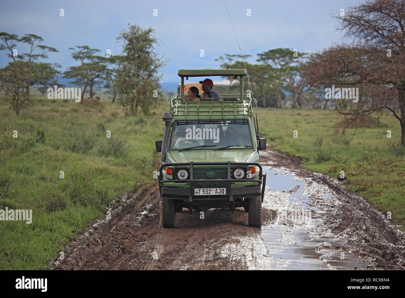 Veicolo fuoristrada durante la stagione delle piogge nel cratere di Ngorongoro, Serengeti National Park, Tanzania Africa Foto Stock