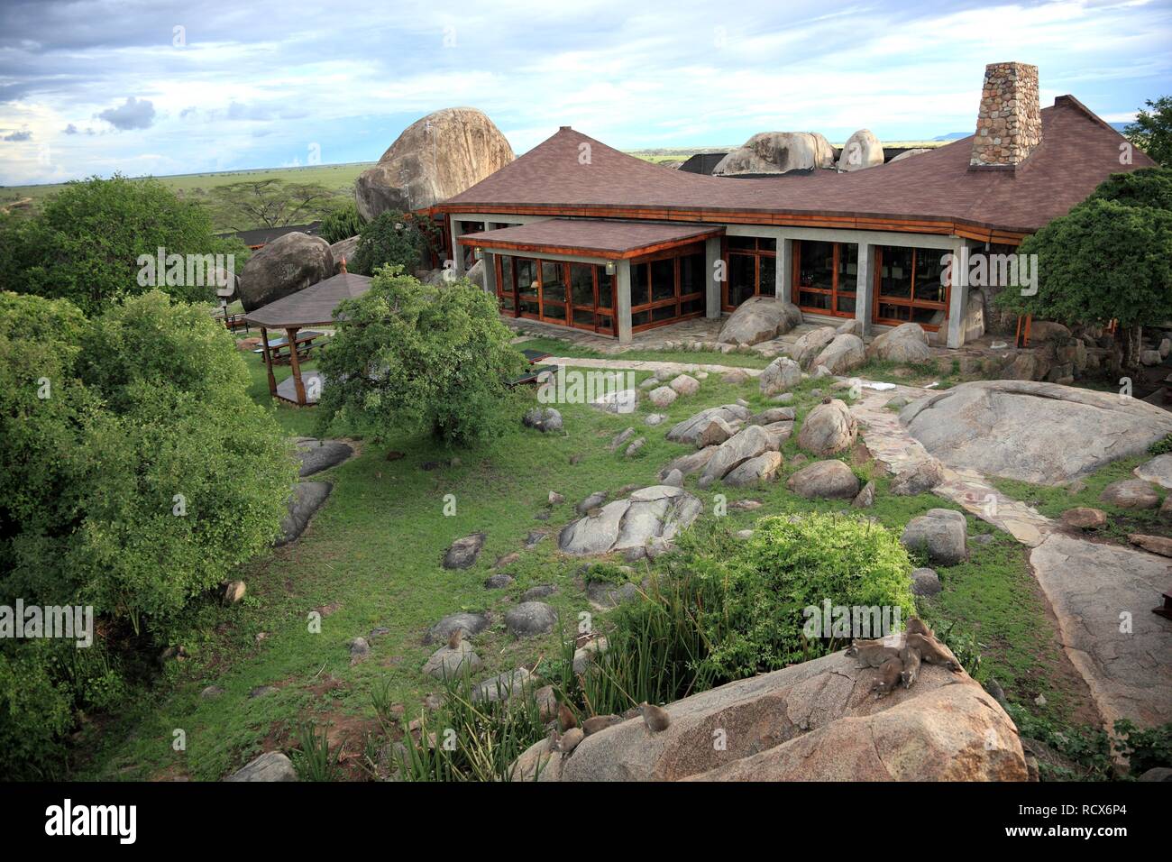 Seronera Wildlife Lodge nel Parco Nazionale del Serengeti, Tanzania Africa Foto Stock