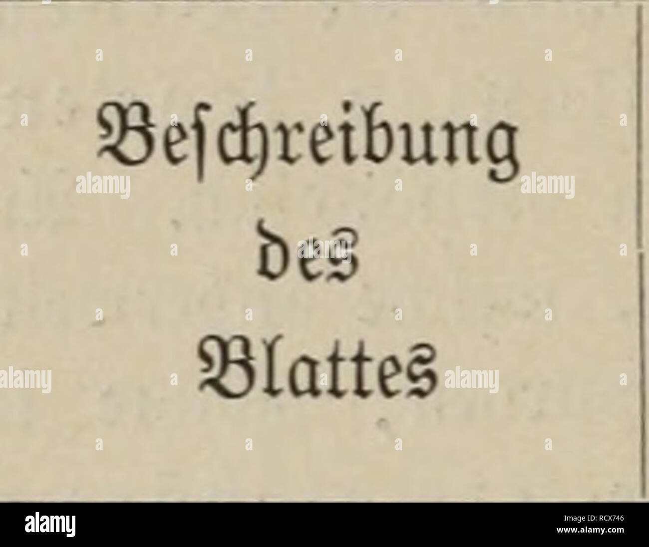 . Der vento als Faktor pflanzenpathologischer. Piante; malattie delle piante. 36 â in Suftrul^e affimiliert I)carta opaca, cr{)ie(t bie 3Ser{)Ã¤ltnil5a![)l 10; bie burdjfd^nitt- coperchio^e ÃorngrÃ¶^e ber â anberen ^ebingungen unterroorfenen 33lÃ¤ttei" rourbe mit ber se)r jeroeilig jufommenben 33ERT)Ã¤ItniÂ§5a}I un bie normale ^orngrÃ¶^e angeglid)en, joba^ bie relatiÃ¶e ^ntenfitÃ¤t ber StÃ¤rfebilbung ber gu Der= gleid^enben BlÃ¤tter in 0^orm einer proporzione erfic^tlid^ ift. (9ftuBrif ^r. 5.) 3u biefen 93erfud)en oermenbete id) au6[d)Iie^Iic^ in 2;Ã¶pfen fultioierte gefunbe unb gut bemÃ¤fferte ^flanjen, um b Foto Stock